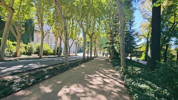 Spain. Madrid 2912.2023 Tree-Lined Path in Madrid, Spain. A tranquil tree-lined walkway in Madrid, with dappled sunlight casting shadows on the path. video