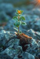 AI generated The sprout of the future tree makes its way through the rocky surface in the mountains. The concept of life and growth, despite the difficulties photo