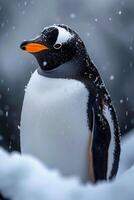 AI generated A penguin walks on the beach in winter photo
