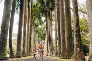 turistas caminar a lo largo el avenida con grande palma arboles en el pamplemousse botánico jardín en el isla de Mauricio foto