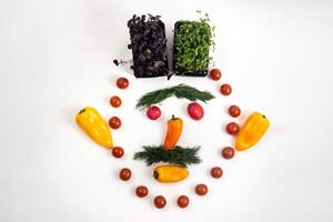 The face of a man made of sliced vegetables on a white background photo