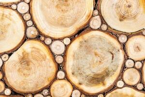 background of a wooden section of a bar.The texture of a wooden log house photo