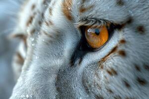 AI generated Close-up of a young lioness's face and eyes photo