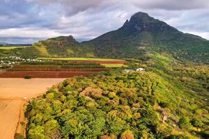 View from the height of the sown fields located on the island of Mauritius photo