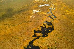 un aéreo ver de un otoño pantano en yelnya, bielorrusia, otoño. ecosistemas ecológico problemas clima cambio foto