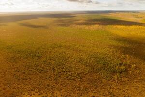 An aerial view of an autumn bog in Yelnya, Belarus, autumn. Ecosystems ecological problems climate change photo