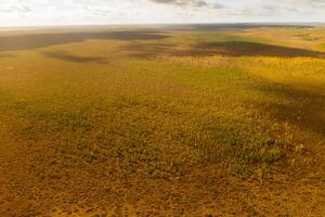 un aéreo ver de un otoño pantano en yelnya, bielorrusia, otoño. ecosistemas ecológico problemas clima cambio foto