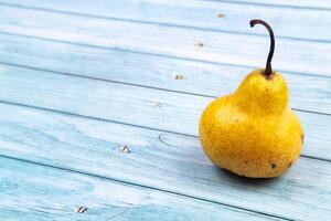 A yellow pear tree lies on a blue wooden background.Summer concept photo