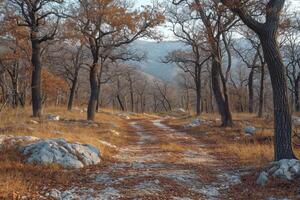 ai generado otoño bosque en un rocoso superficie foto