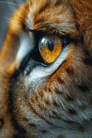 AI generated Close-up of a young lioness's face and eyes photo