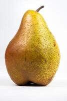 Large pear tree on white isolated background photo