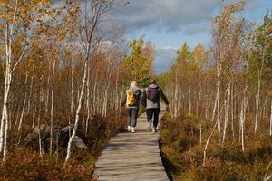 Two tourists walk along a wooden path in a swamp in Yelnya, Belarus photo