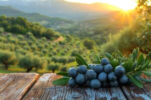 AI generated still life with blue olives on a table in an olive grove photo