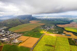 View from the height of the sown fields located on the island of Mauritius photo