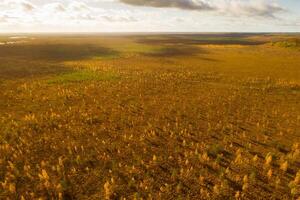 un aéreo ver de un otoño pantano en yelnya, bielorrusia, otoño. ecosistemas ecológico problemas clima cambio foto