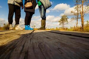 People in boots walk along a wooden path in a swamp in Yelnya, Belarus photo