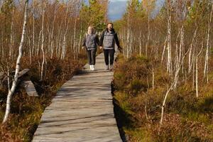 dos turistas caminar a lo largo un de madera camino en un pantano en yelnya, bielorrusia foto