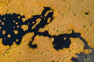 An aerial view of an autumn bog in Yelnya, Belarus, autumn. Ecosystems ecological problems climate change photo