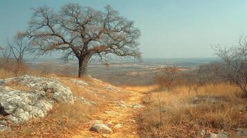 AI generated A lonely tree in autumn photo