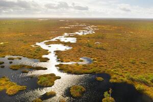 un aéreo ver de un otoño pantano en yelnya, bielorrusia, otoño. ecosistemas ecológico problemas clima cambio foto