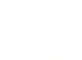 disegno a gesso di funghi velenosi png