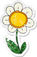 distressed sticker of a quirky hand drawn cartoon daisy png