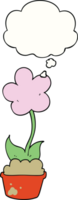 cute cartoon flower and thought bubble png