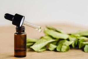 Essential oil in one bottle and mint plants lying on the surface photo