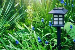 Garden light in the shape of a black box in green grass and blue flowers photo