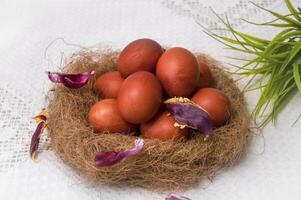 Easter eggs in a nest on a white tablecloth. Close-up photo