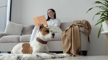 Young woman relaxing with her dog reading a book in a beautiful modern apartment video