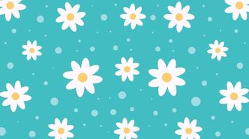 sömlös blommig mönster himmel blå bakgrund, vit blomma bakgrund video