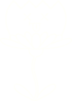 Kreidezeichnung der toten Blume png