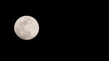 timelapse di luna, stock time lapse - luna piena sorge nel cielo di natura oscura, notte. lasso di tempo del disco di luna piena con la luna che si illumina nel cielo nero scuro di notte. riprese video o timelapse gratuiti di alta qualità