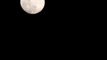 lapso de tiempo de la luna, lapso de tiempo de stock - subida de la luna llena en el cielo de la naturaleza oscura, la noche. Lapso de tiempo de disco de luna llena con luz de luna en el cielo negro oscuro de la noche. secuencias de video gratuitas de alta calidad o timelapse