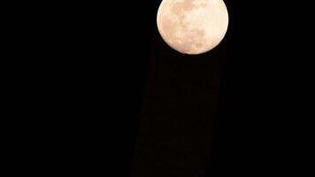timelapse di luna, stock time lapse - luna piena sorge nel cielo di natura oscura, notte. lasso di tempo del disco di luna piena con la luna che si illumina nel cielo nero scuro di notte. riprese video o timelapse gratuiti di alta qualità