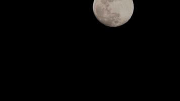 timelapse di luna, stock time lapse - luna piena sorge nel cielo di natura oscura, notte. lasso di tempo del disco di luna piena con la luna che si illumina nel cielo nero scuro di notte. riprese video o timelapse gratuiti di alta qualità