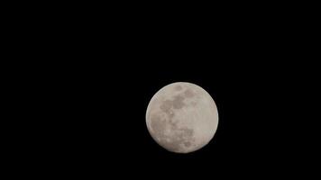 timelapse da lua, lapso de tempo de ações - ascensão da lua cheia no céu escuro da natureza, noite. lapso de tempo do disco da lua cheia com luz da lua no céu escuro à noite. imagens de vídeo gratuitas de alta qualidade ou timelapse video