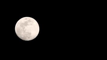 lapso de tiempo de la luna, lapso de tiempo de stock - subida de la luna llena en el cielo de la naturaleza oscura, la noche. Lapso de tiempo de disco de luna llena con luz de luna en el cielo negro oscuro de la noche. secuencias de video gratuitas de alta calidad o timelapse