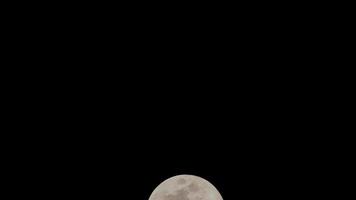 lapso de tiempo de la luna, lapso de tiempo de stock - subida de la luna llena en el cielo de la naturaleza oscura, la noche. Lapso de tiempo de disco de luna llena con luz de luna en el cielo negro oscuro de la noche. secuencias de video gratuitas de alta calidad o timelapse