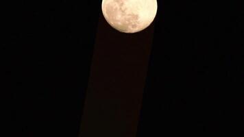 timelapse da lua, lapso de tempo de ações - ascensão da lua cheia no céu escuro da natureza, noite. lapso de tempo do disco da lua cheia com luz da lua no céu escuro à noite. imagens de vídeo gratuitas de alta qualidade ou timelapse video