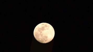 timelapse da lua, lapso de tempo de ações - ascensão da lua cheia no céu escuro da natureza, noite. lapso de tempo do disco da lua cheia com luz da lua no céu escuro à noite. imagens de vídeo gratuitas de alta qualidade ou timelapse video