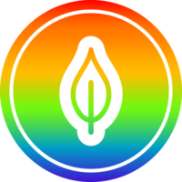 natuurlijke bladcirkel in regenboogspectrum png