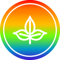 natuurlijke bladcirkel in regenboogspectrum png