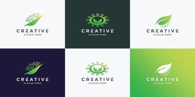 Set of Leaf tree logo design template with technology logo graphic design vector illustration.