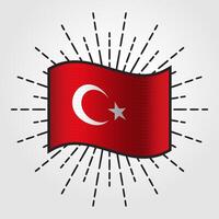 Vintage Turkey National Flag Illustration vector