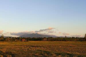 empty lawn and mountain at sunrise photo