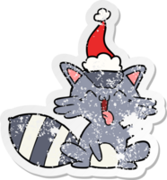cute hand drawn distressed sticker cartoon of a raccoon wearing santa hat png