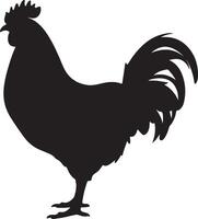 pollo silueta vector ilustración blanco antecedentes