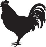 Chicken Silhouette Vector Illustration White Background